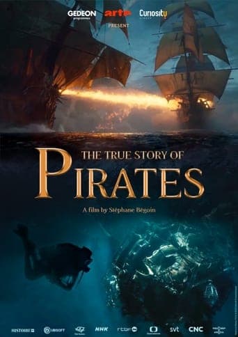 The True Story of Pirates poster - Find streaming availability