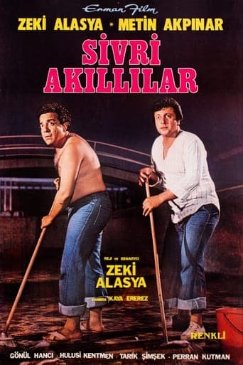 Sivri Akıllılar poster - Find streaming availability