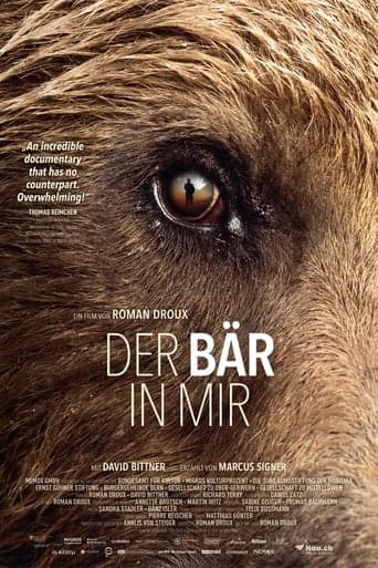 Bear-Like poster - Find streaming availability