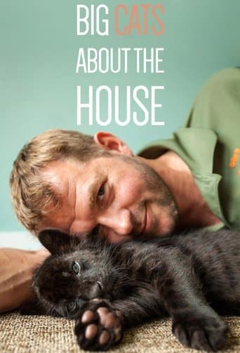 Big Cats About The House poster - Find streaming availability