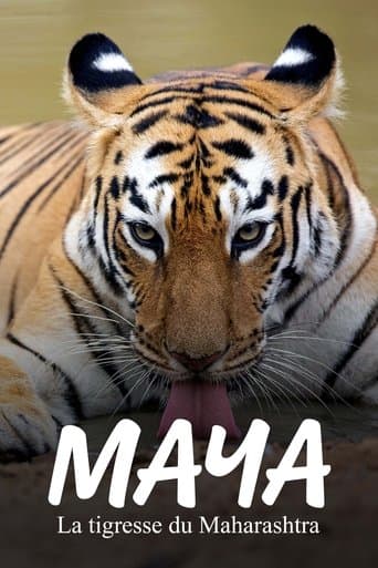 Maya, la tigresse du Maharashtra poster - Find streaming availability
