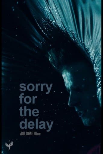 Sorry for the Delay poster - Find streaming availability