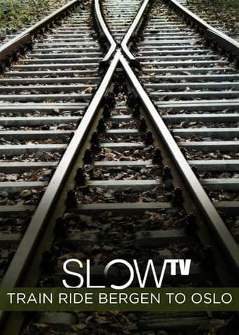 Slow TV: Train Ride Bergen to Oslo poster - Find streaming availability