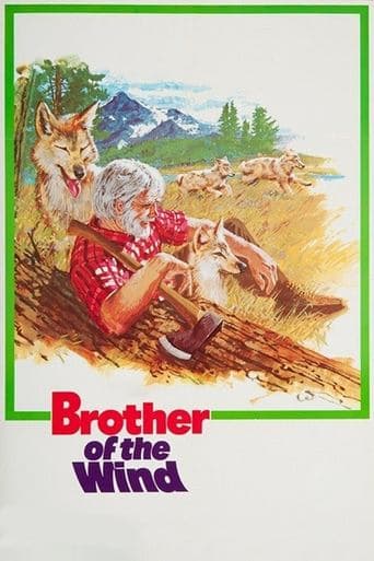 Brother of the Wind poster - Find streaming availability