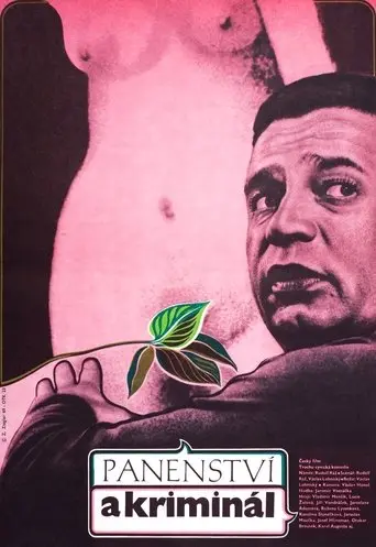 Panenství a kriminál poster - Find streaming availability