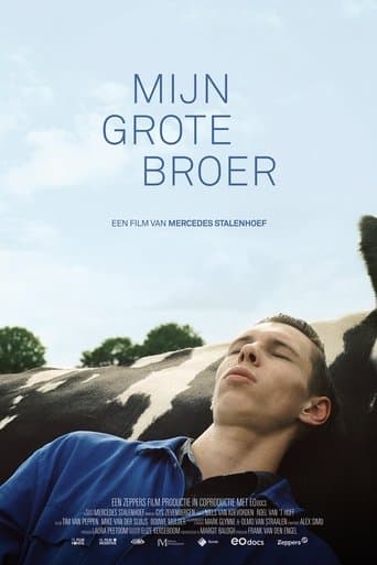 Mijn grote broer poster - Find streaming availability