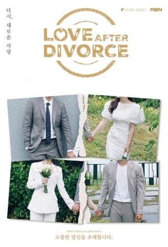 Love After Divorce poster - Find streaming availability