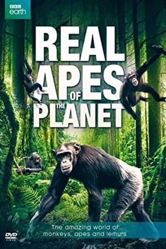 The Real Apes of the Planet poster - Find streaming availability