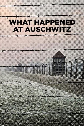What Happened at Auschwitz poster - Find streaming availability