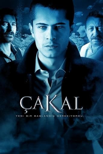 Çakal poster - Find streaming availability