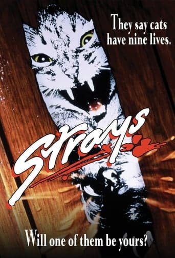 Strays poster - Find streaming availability