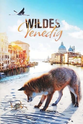 Wild Venice poster - Find streaming availability