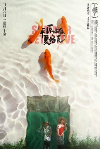 Summer Detective poster - Find streaming availability