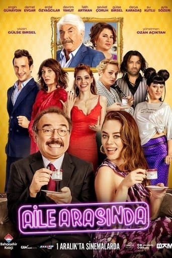 In the Family poster - Find streaming availability