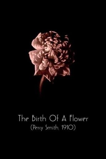 The Birth of a Flower poster - Find streaming availability
