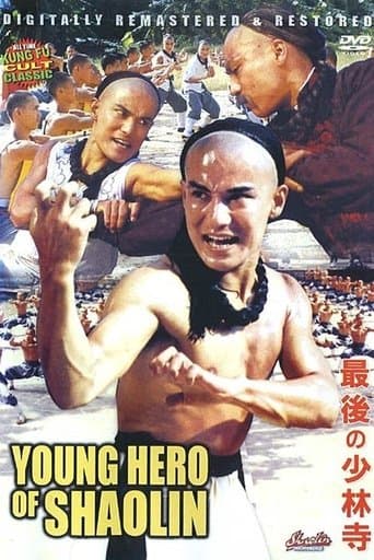 The Young Hero of Shaolin poster - Find streaming availability