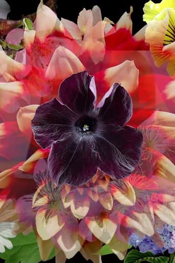 Mix Wildflower Seeds poster - Find streaming availability