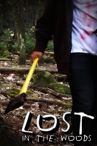 Lost In The Woods poster - Find streaming availability