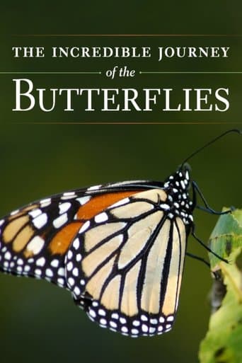 The Incredible Journey of the Butterflies poster - Find streaming availability