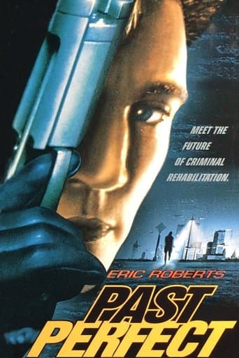 Past Perfect poster - Find streaming availability