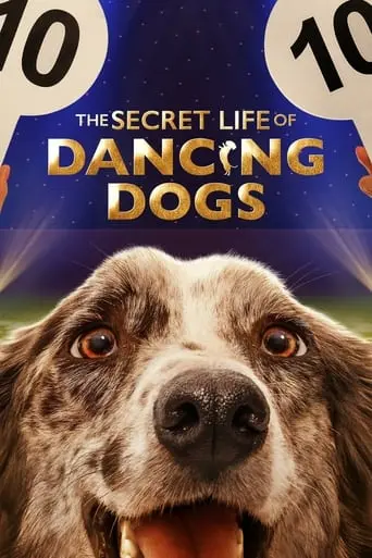 The Secret Life of Dancing Dogs poster - Find streaming availability