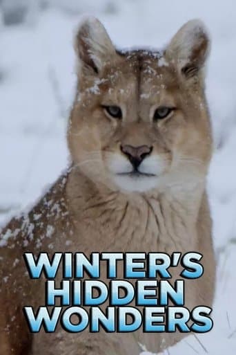 Winter's Hidden Wonders poster - Find streaming availability