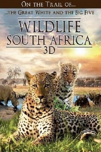 Wildlife South Africa 3D poster - Find streaming availability