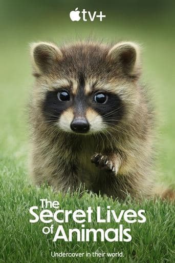 The Secret Lives of Animals poster - Find streaming availability