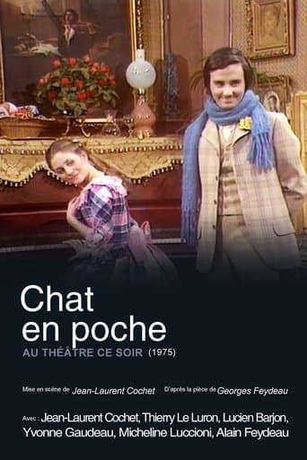 Chat en poche poster - Find streaming availability