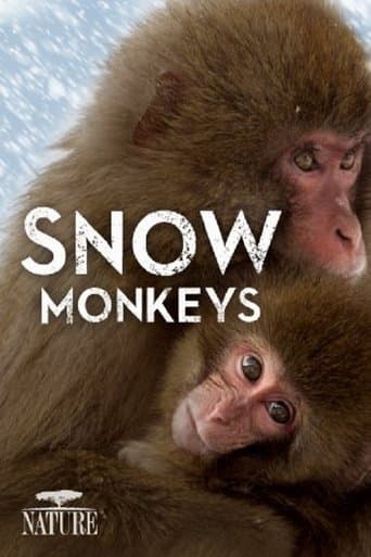 Wild Japan: Snow Monkeys poster - Find streaming availability