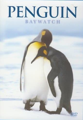 Penguin Baywatch Antarctica poster - Find streaming availability