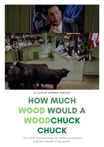 How Much Wood Would a Woodchuck Chuck poster - Find streaming availability