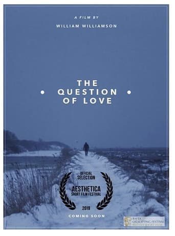 The Question of Love poster - Find streaming availability