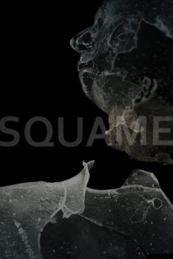 Squame poster - Find streaming availability