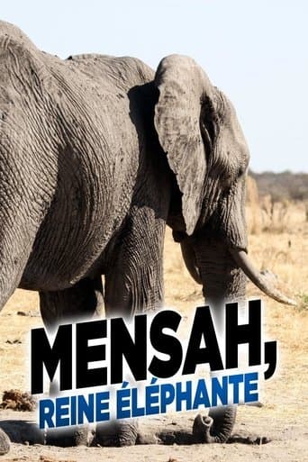 Elephant Queen poster - Find streaming availability