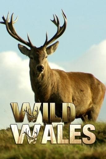 Wild Wales poster - Find streaming availability