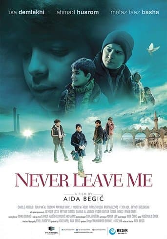 Never Leave Me poster - Find streaming availability