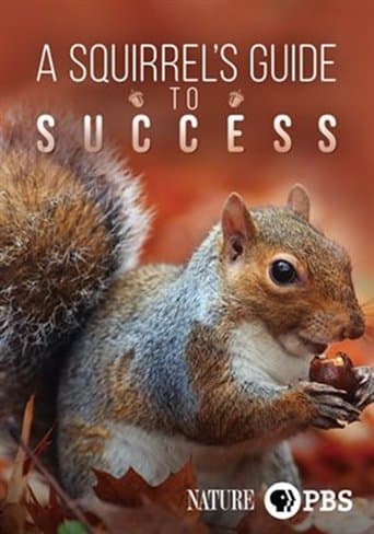 A Squirrel's Guide to Success poster - Find streaming availability