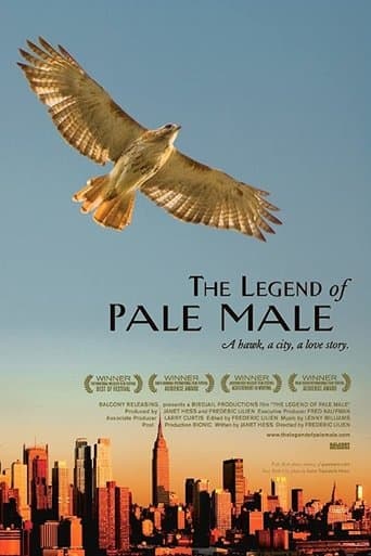 The Legend of Pale Male poster - Find streaming availability