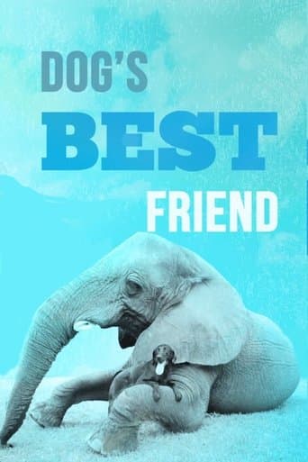 Dog's Best Friend poster - Find streaming availability