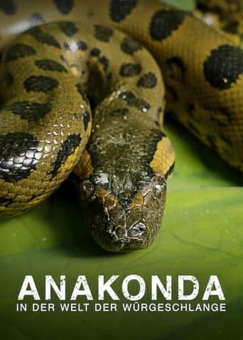 Anaconda: Silent Killer poster - Find streaming availability