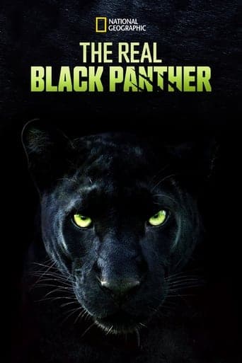 The Real Black Panther poster - Find streaming availability