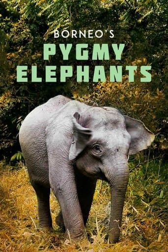 Borneo's Pygmy Elephants poster - Find streaming availability