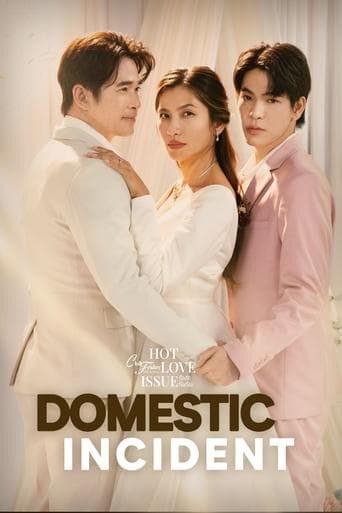 Domestic Incident poster - Find streaming availability