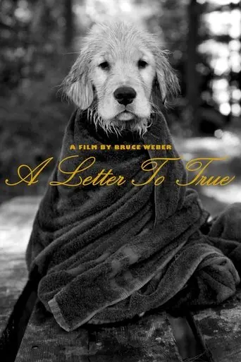 A Letter to True poster - Find streaming availability