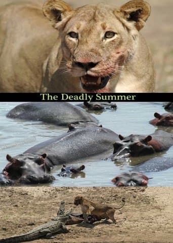 Deadly Summer poster - Find streaming availability