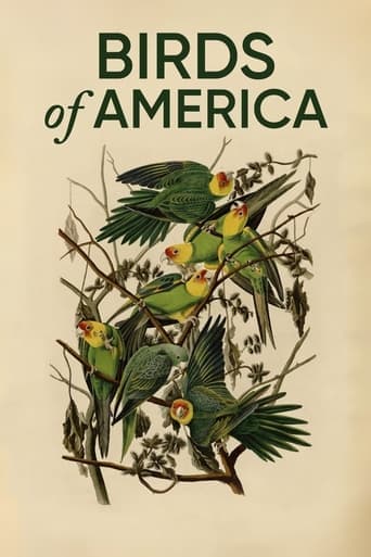 Birds of America poster - Find streaming availability