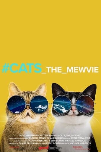 #cats_the_mewvie poster - Find streaming availability