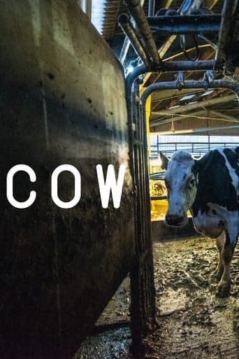 Cow poster - Find streaming availability