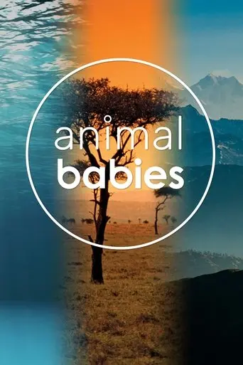 Animal Babies poster - Find streaming availability